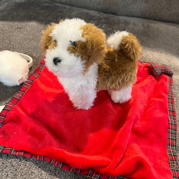 American Girl Doll ski set and accessories - Picture 7 of 8